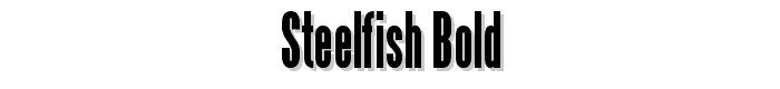Steelfish Bold font